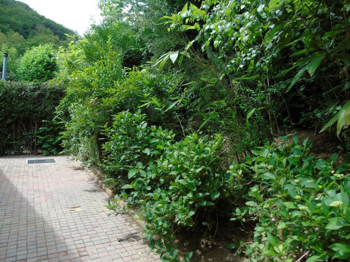Maison L'Hirondelle Rustique A Tournavaux 外观 照片