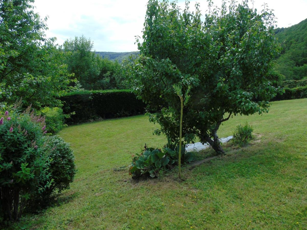 Maison L'Hirondelle Rustique A Tournavaux 外观 照片