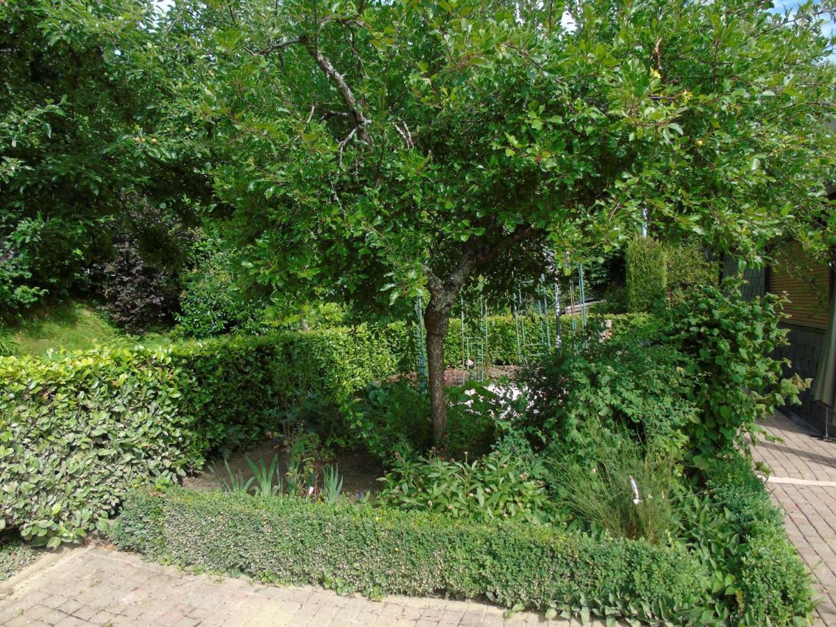 Maison L'Hirondelle Rustique A Tournavaux 外观 照片