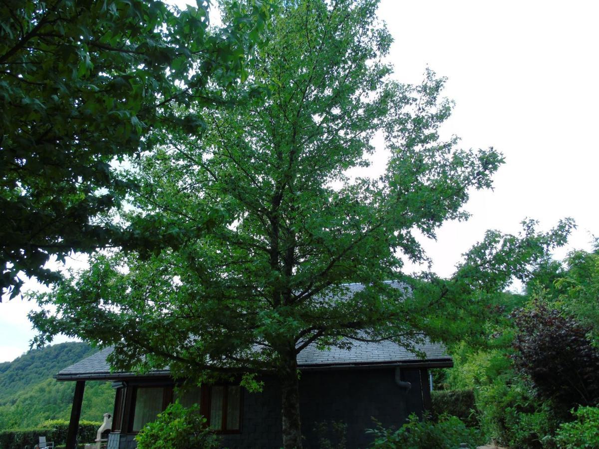 Maison L'Hirondelle Rustique A Tournavaux 外观 照片
