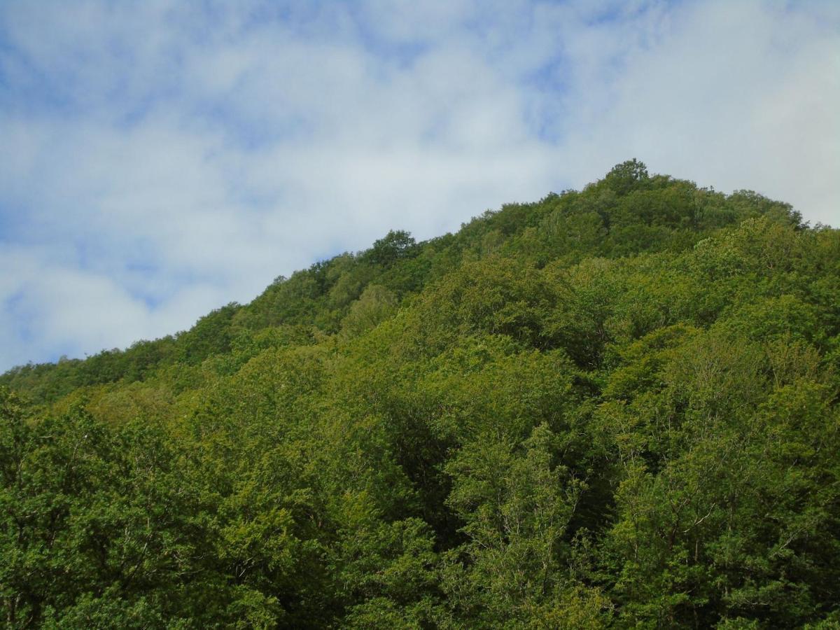 Maison L'Hirondelle Rustique A Tournavaux 外观 照片